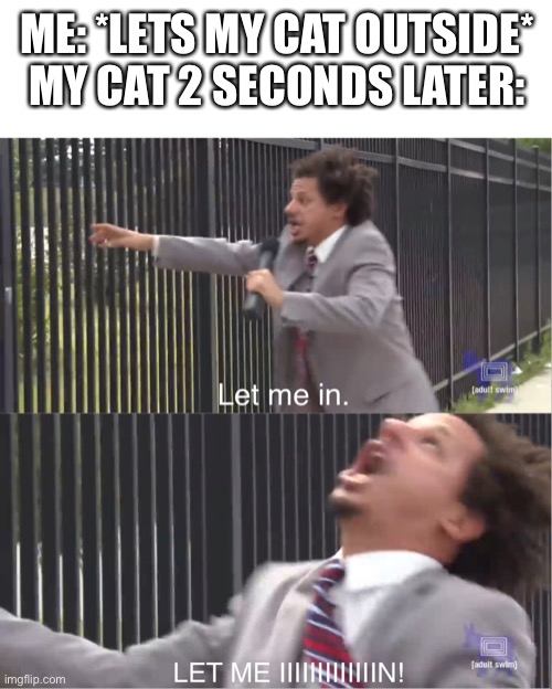 let me in | ME: *LETS MY CAT OUTSIDE*
MY CAT 2 SECONDS LATER: | image tagged in let me in | made w/ Imgflip meme maker