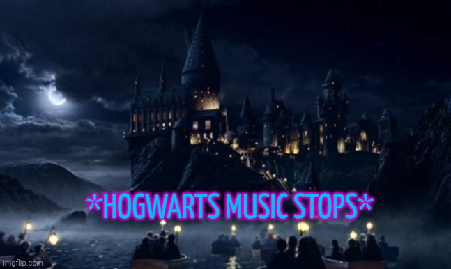 Hogwarts Music Stops | image tagged in hogwarts music stops | made w/ Imgflip meme maker