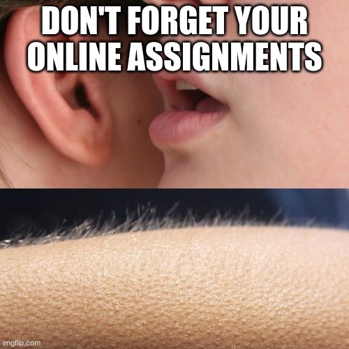 online class | DON'T FORGET YOUR ONLINE ASSIGNMENTS | image tagged in whisper and goosebumps | made w/ Imgflip meme maker