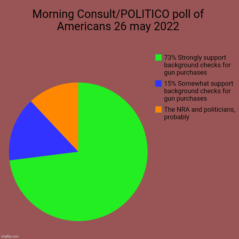 Morning Consult/POLITICO poll of Americans 26 may 2022 | The NRA and politicians, probably, 15% Somewhat support background checks for gun p | image tagged in charts,pie charts,gun safety,common sense | made w/ Imgflip chart maker