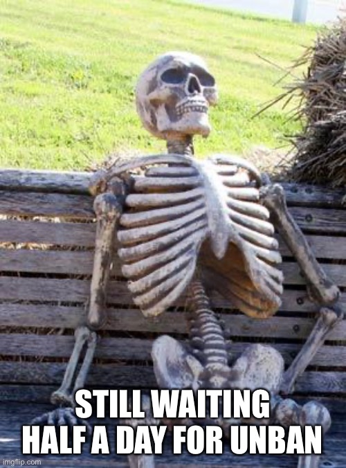 Waiting Skeleton | STILL WAITING HALF A DAY FOR UNBAN | image tagged in memes,waiting skeleton | made w/ Imgflip meme maker
