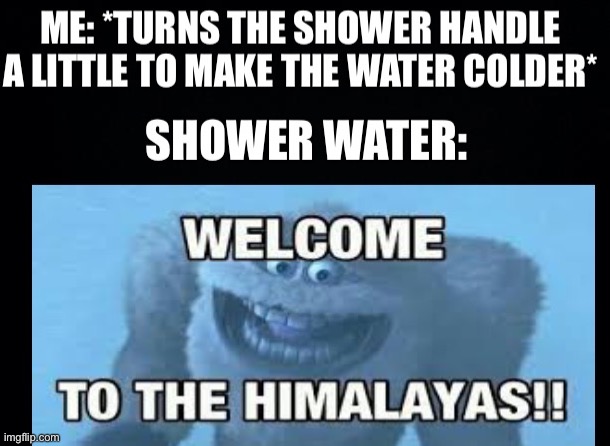 Have you ever got trolled by the shower before | made w/ Imgflip meme maker