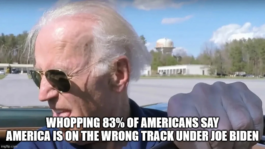 The other 17% are out to lunch... | WHOPPING 83% OF AMERICANS SAY AMERICA IS ON THE WRONG TRACK UNDER JOE BIDEN | image tagged in dementia,joe biden,destroy,america | made w/ Imgflip meme maker