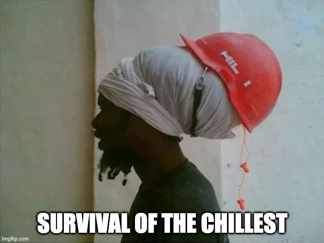 Survival of the chillest | SURVIVAL OF THE CHILLEST | image tagged in rasta,jah,dreads,security first | made w/ Imgflip meme maker