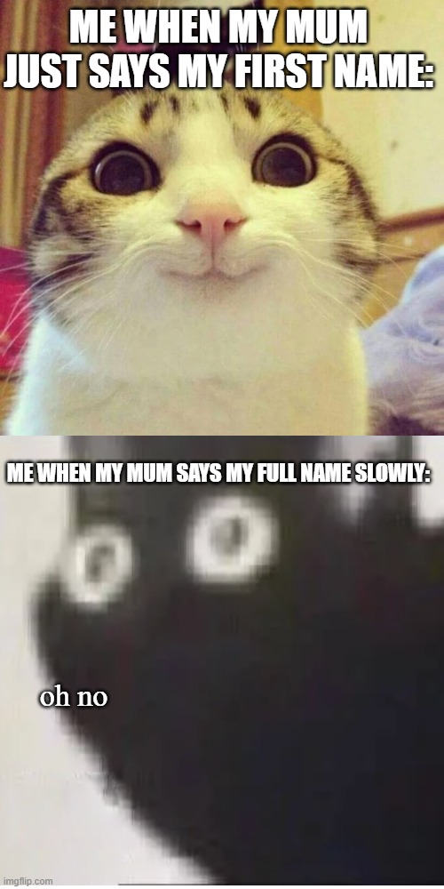 ME WHEN MY MUM JUST SAYS MY FIRST NAME:; ME WHEN MY MUM SAYS MY FULL NAME SLOWLY:; oh no | image tagged in memes,smiling cat | made w/ Imgflip meme maker