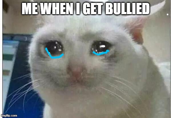 sad | ME WHEN I GET BULLIED | image tagged in crying cat | made w/ Imgflip meme maker
