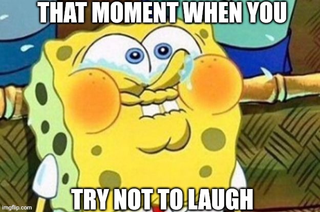 Funny | THAT MOMENT WHEN YOU; TRY NOT TO LAUGH | image tagged in spongebob funny face | made w/ Imgflip meme maker