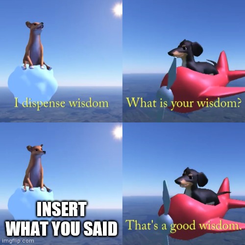 That's a good wisdom | INSERT WHAT YOU SAID | image tagged in that's a good wisdom | made w/ Imgflip meme maker