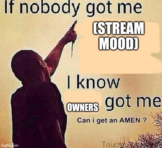 If nobody got me blank | (STREAM MOOD); OWNERS | image tagged in if nobody got me blank | made w/ Imgflip meme maker