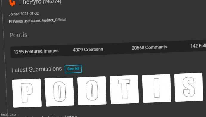 P O O T I S | image tagged in p o o t i s | made w/ Imgflip meme maker