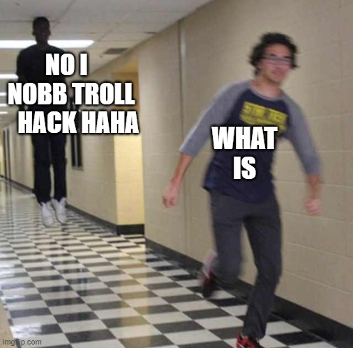 floating boy chasing running boy | NO I   NOBB TROLL    HACK HAHA; WHAT IS | image tagged in floating boy chasing running boy | made w/ Imgflip meme maker