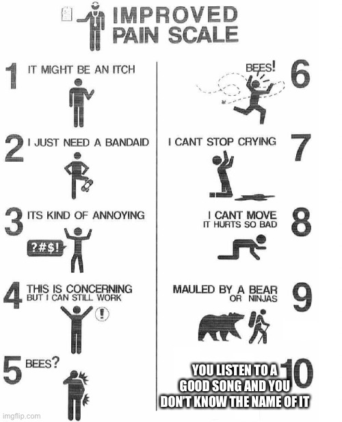 Improved Pain Scale | YOU LISTEN TO A GOOD SONG AND YOU DON’T KNOW THE NAME OF IT | image tagged in improved pain scale | made w/ Imgflip meme maker
