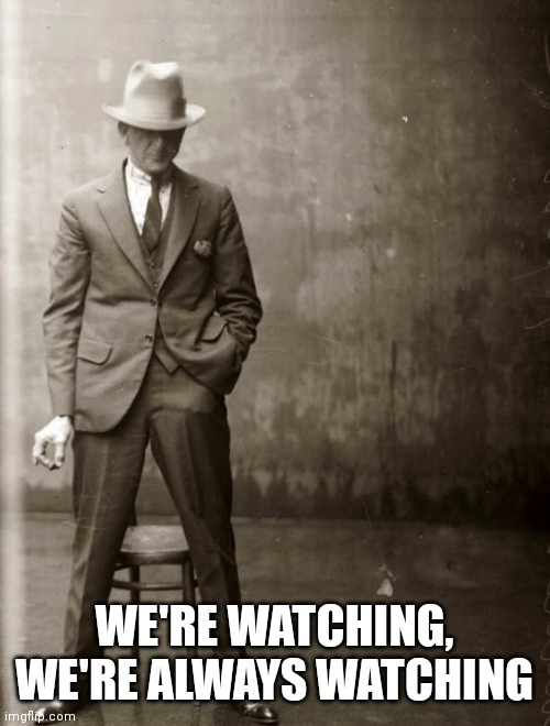 WE'RE WATCHING, WE'RE ALWAYS WATCHING | image tagged in government agent man | made w/ Imgflip meme maker