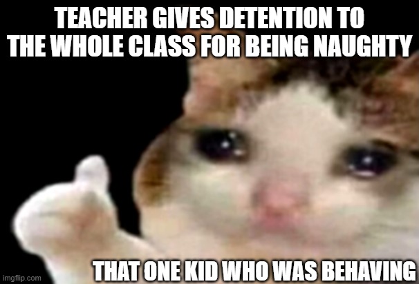 Sad cat thumbs up | TEACHER GIVES DETENTION TO THE WHOLE CLASS FOR BEING NAUGHTY; THAT ONE KID WHO WAS BEHAVING | image tagged in sad cat thumbs up | made w/ Imgflip meme maker
