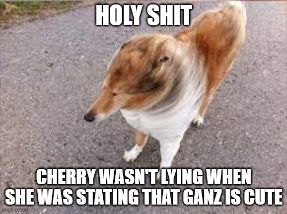 Not saying I simp, but she wasn't fucking lying | HOLY SHIT; CHERRY WASN'T LYING WHEN SHE WAS STATING THAT GANZ IS CUTE | image tagged in she wasn't lying | made w/ Imgflip meme maker