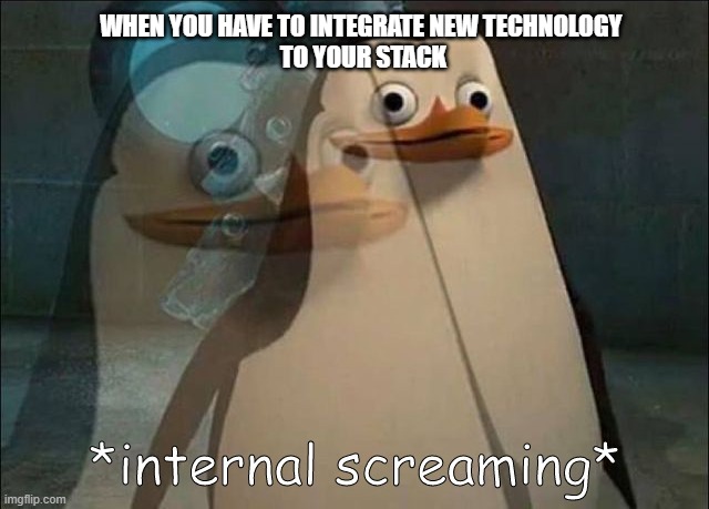 When you integrate new technology to your stack | WHEN YOU HAVE TO INTEGRATE NEW TECHNOLOGY 
TO YOUR STACK | image tagged in private internal screaming | made w/ Imgflip meme maker