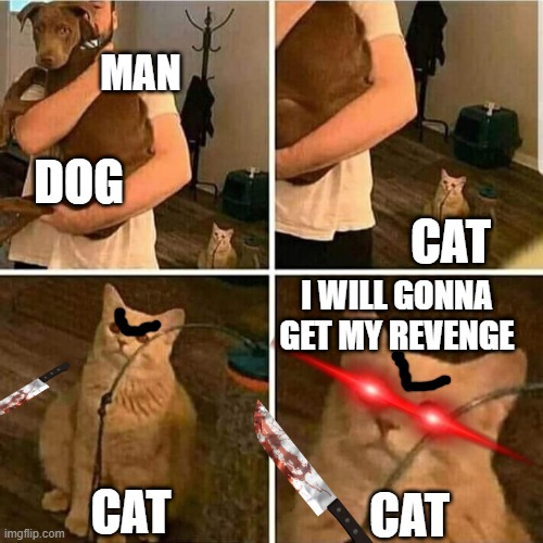 cat gets revenge on dog |  MAN; DOG; CAT; I WILL GONNA GET MY REVENGE; CAT; CAT | image tagged in sad cat holding dog | made w/ Imgflip meme maker