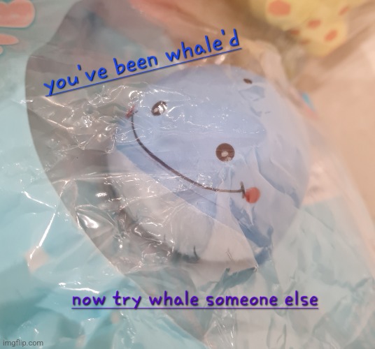 You've been whale'd | image tagged in you've been whale'd,memes | made w/ Imgflip meme maker