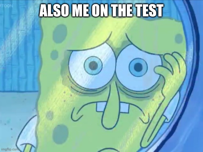 Depressed SpongeBob | ALSO ME ON THE TEST | image tagged in depressed spongebob | made w/ Imgflip meme maker