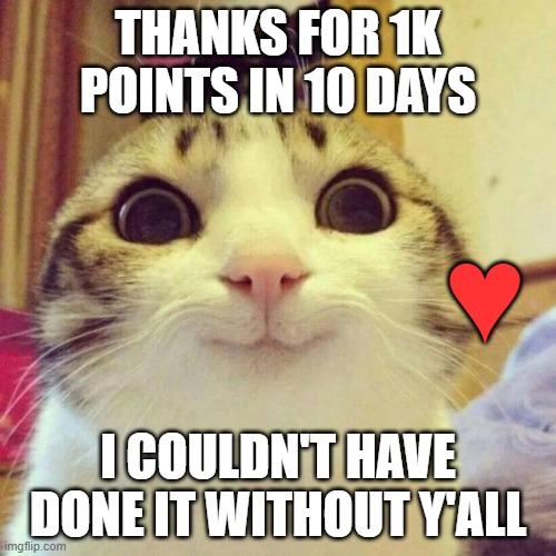 1K POINTS IN 10 DAYS LESGOOOOO | THANKS FOR 1K POINTS IN 10 DAYS; ♥; I COULDN'T HAVE DONE IT WITHOUT Y'ALL | image tagged in smiling cat,imgflip points,1000points | made w/ Imgflip meme maker