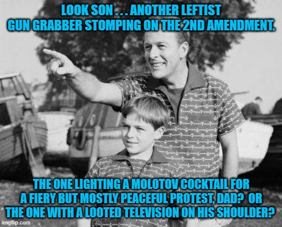 Enquiring minds want to know. | LOOK SON . . . ANOTHER LEFTIST GUN GRABBER STOMPING ON THE 2ND AMENDMENT. THE ONE LIGHTING A MOLOTOV COCKTAIL FOR A FIERY BUT MOSTLY PEACEFUL PROTEST, DAD?  OR THE ONE WITH A LOOTED TELEVISION ON HIS SHOULDER? | image tagged in look son | made w/ Imgflip meme maker