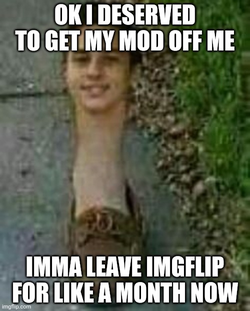Bye | OK I DESERVED TO GET MY MOD OFF ME; IMMA LEAVE IMGFLIP FOR LIKE A MONTH NOW | image tagged in s h o e | made w/ Imgflip meme maker