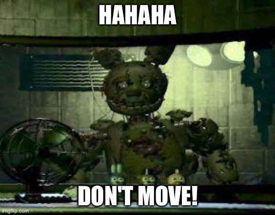 my 1st meme | HAHAHA; DON'T MOVE! | image tagged in fnaf springtrap in window | made w/ Imgflip meme maker