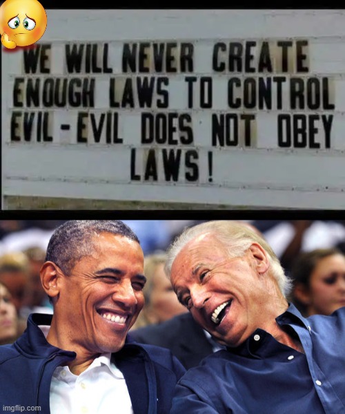 The Third Term Is Real | image tagged in politics,joe biden,barack obama,joe and bo,evil,laws | made w/ Imgflip meme maker