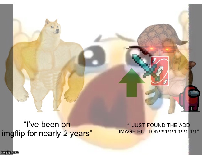 kill me | “I’ve been on imgflip for nearly 2 years”; “I JUST FOUND THE ADD IMAGE BUTTON!!!!1!1!1!1!!!1!1!1” | made w/ Imgflip meme maker