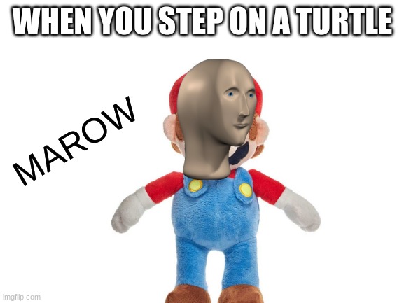 marow cuzs | WHEN YOU STEP ON A TURTLE; MAROW | image tagged in meme man,nintendo,games | made w/ Imgflip meme maker