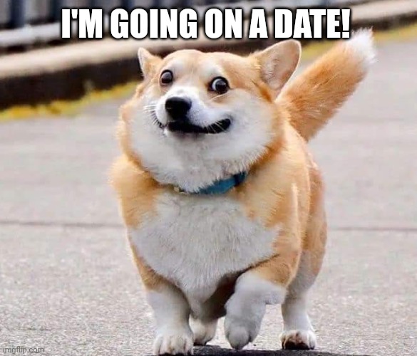 Happy dog | I'M GOING ON A DATE! | image tagged in dog | made w/ Imgflip meme maker