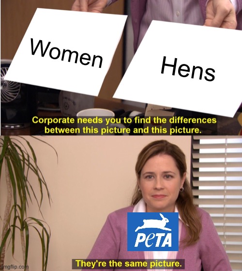 Women=hen -PETA | Women; Hens | image tagged in memes,they're the same picture,sexist,peta | made w/ Imgflip meme maker