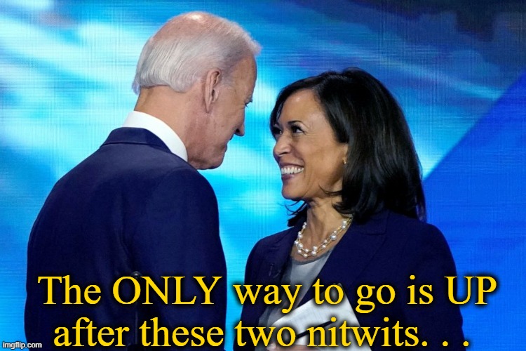 The ONLY way to go is UP
after these two nitwits. . . | made w/ Imgflip meme maker