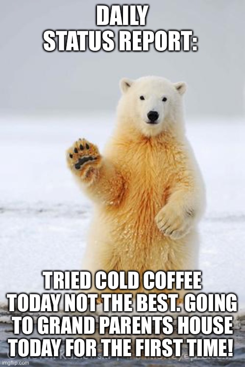 hello polar bear |  DAILY STATUS REPORT:; TRIED COLD COFFEE TODAY NOT THE BEST. GOING TO GRAND PARENTS HOUSE TODAY FOR THE FIRST TIME! | image tagged in hello polar bear,daily,status,report | made w/ Imgflip meme maker