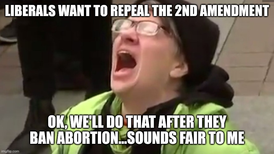 If saving all lives matters so much to these liberals, then save ALL lives | LIBERALS WANT TO REPEAL THE 2ND AMENDMENT; OK, WE'LL DO THAT AFTER THEY BAN ABORTION...SOUNDS FAIR TO ME | image tagged in screaming liberal,abortion,gun control,liberal logic,liberal hypocrisy,stupid people | made w/ Imgflip meme maker