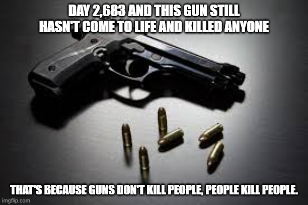 guns and ammo | DAY 2,683 AND THIS GUN STILL HASN'T COME TO LIFE AND KILLED ANYONE; THAT'S BECAUSE GUNS DON'T KILL PEOPLE, PEOPLE KILL PEOPLE. | image tagged in guns and ammo | made w/ Imgflip meme maker