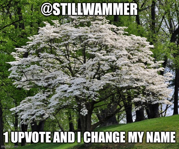 Boredom | @STILLWAMMER; 1 UPVOTE AND I CHANGE MY NAME | image tagged in wammer temp | made w/ Imgflip meme maker