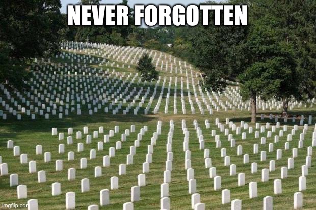Fallen Soldiers | NEVER FORGOTTEN | image tagged in fallen soldiers | made w/ Imgflip meme maker