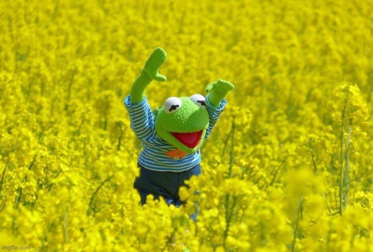 Happy Kermit | image tagged in happy kermit | made w/ Imgflip meme maker