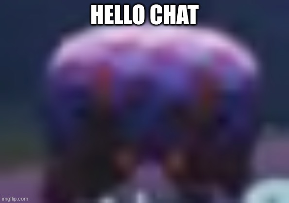 BBQ Bunger Staring | HELLO CHAT | image tagged in bbq bunger staring | made w/ Imgflip meme maker