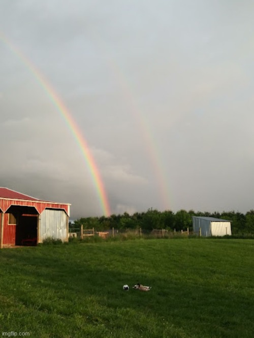 A double rainbow at my house, if you look closely you can see the other one... | made w/ Imgflip meme maker