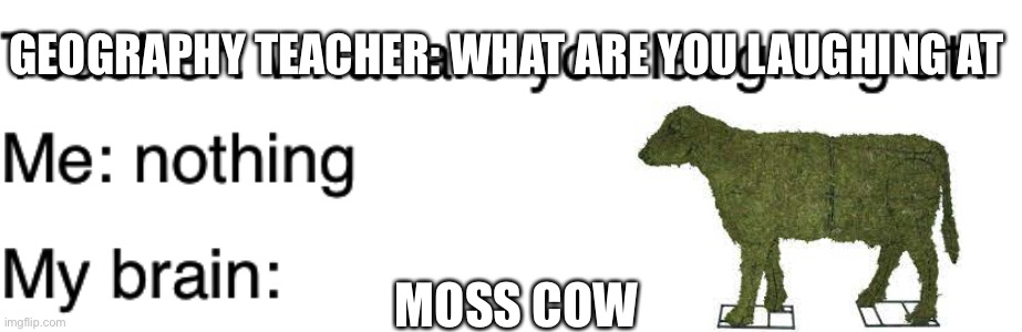 Teacher what are you laughing at |  GEOGRAPHY TEACHER: WHAT ARE YOU LAUGHING AT; MOSS COW | image tagged in teacher what are you laughing at | made w/ Imgflip meme maker