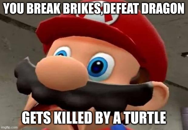 Mario WTF | YOU BREAK BRIKES,DEFEAT DRAGON; GETS KILLED BY A TURTLE | image tagged in mario wtf | made w/ Imgflip meme maker