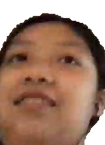 laggy gurl Blank Meme Template