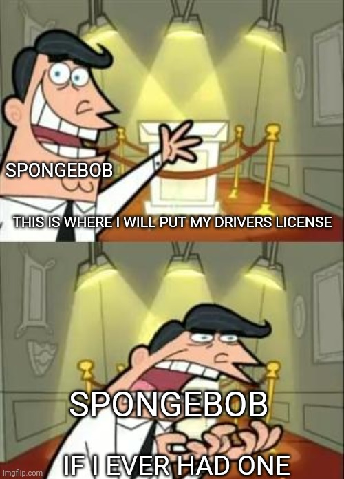 This Is Where I'd Put My Trophy If I Had One Meme | SPONGEBOB; THIS IS WHERE I WILL PUT MY DRIVERS LICENSE; SPONGEBOB; IF I EVER HAD ONE | image tagged in memes,this is where i'd put my trophy if i had one | made w/ Imgflip meme maker