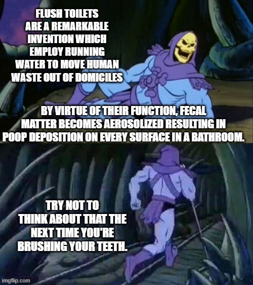 Skeletor disturbing facts | FLUSH TOILETS ARE A REMARKABLE INVENTION WHICH EMPLOY RUNNING WATER TO MOVE HUMAN WASTE OUT OF DOMICILES; BY VIRTUE OF THEIR FUNCTION, FECAL MATTER BECOMES AEROSOLIZED RESULTING IN POOP DEPOSITION ON EVERY SURFACE IN A BATHROOM. TRY NOT TO THINK ABOUT THAT THE NEXT TIME YOU'RE BRUSHING YOUR TEETH. | image tagged in skeletor disturbing facts | made w/ Imgflip meme maker