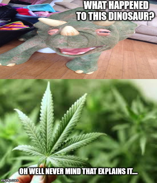 marijuana | WHAT HAPPENED TO THIS DINOSAUR? OH WELL NEVER MIND THAT EXPLAINS IT.... | image tagged in marijuana | made w/ Imgflip meme maker