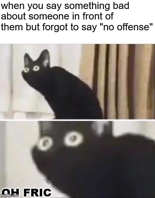 uh oh | when you say something bad about someone in front of them but forgot to say "no offense"; OH FRIC | image tagged in oh no black cat,offensive | made w/ Imgflip meme maker