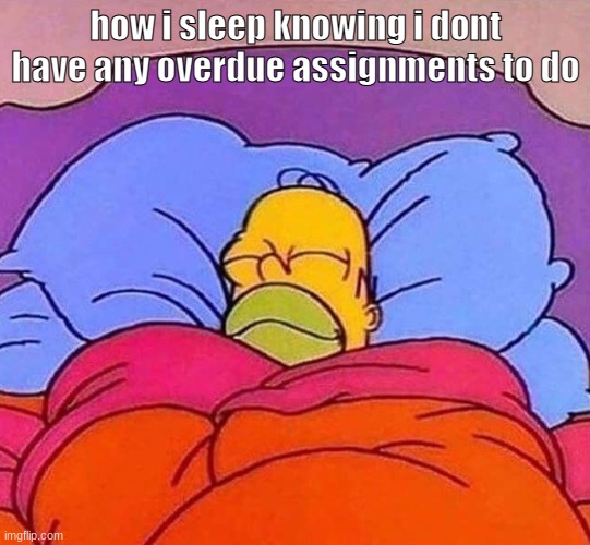 Homer Simpson sleeping peacefully | how i sleep knowing i dont have any overdue assignments to do | image tagged in homer simpson sleeping peacefully | made w/ Imgflip meme maker