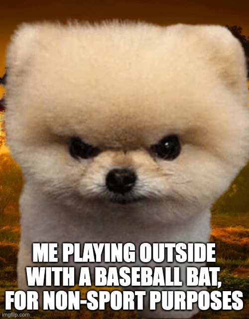 Fluffy, Destroyer of worlds | ME PLAYING OUTSIDE WITH A BASEBALL BAT, FOR NON-SPORT PURPOSES | image tagged in fluffy destroyer of worlds | made w/ Imgflip meme maker